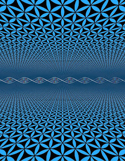 Vortex Illusion