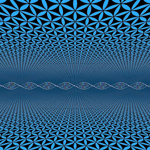 Visumirage
