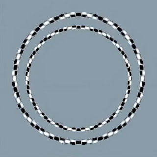 Rotating Checkerboard Rings Illusion